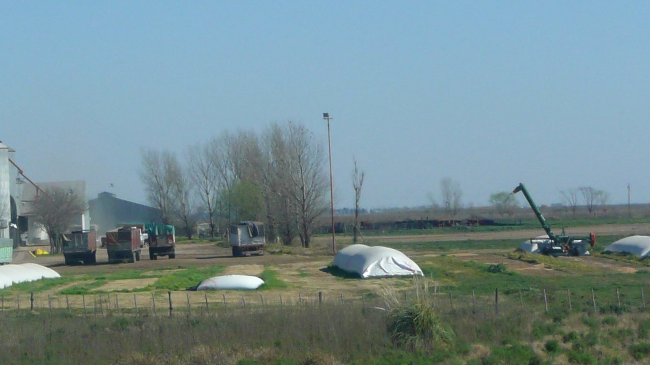 Cuatro camiones detenidos en fila sobre el camino de tierra que entra a una planta de acopio; a la izquierda, silos metálicos y un galpón largo; en el campo del frente, varias silobolsas blancas; a la derecha, una máquina de brazo levantado junto a otra silobolsa y, al fondo, una hilera de vagones.