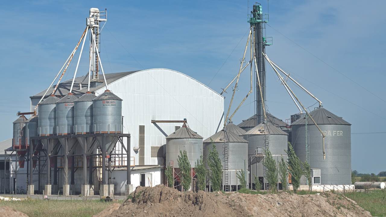 Planta de acopio vista desde el camino: dos baterías de silos metálicos, una sobre patas de hierro, dos norias altas con tensores y un galpón de techo curvo; adelante, un montículo de tierra y pastizal bajo un cielo despejado.